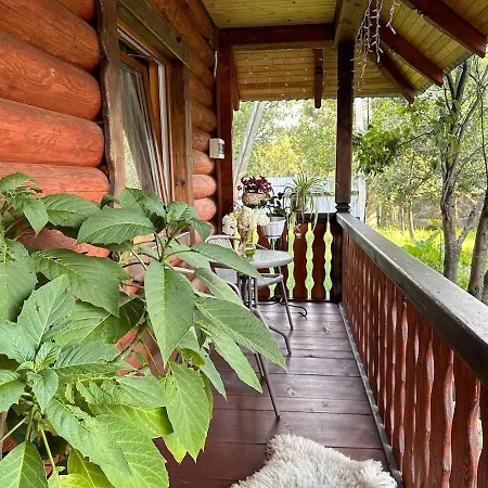 Holiday home Dimira з басейном Slavske