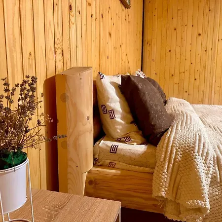 Dimira з басейном